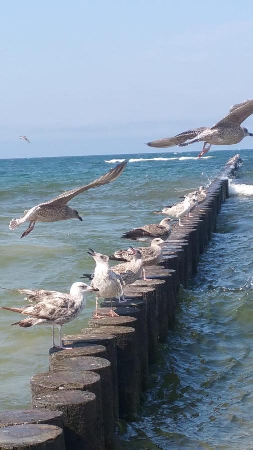 Apartment Royal Maris 2: Haven Near And Port Ustka